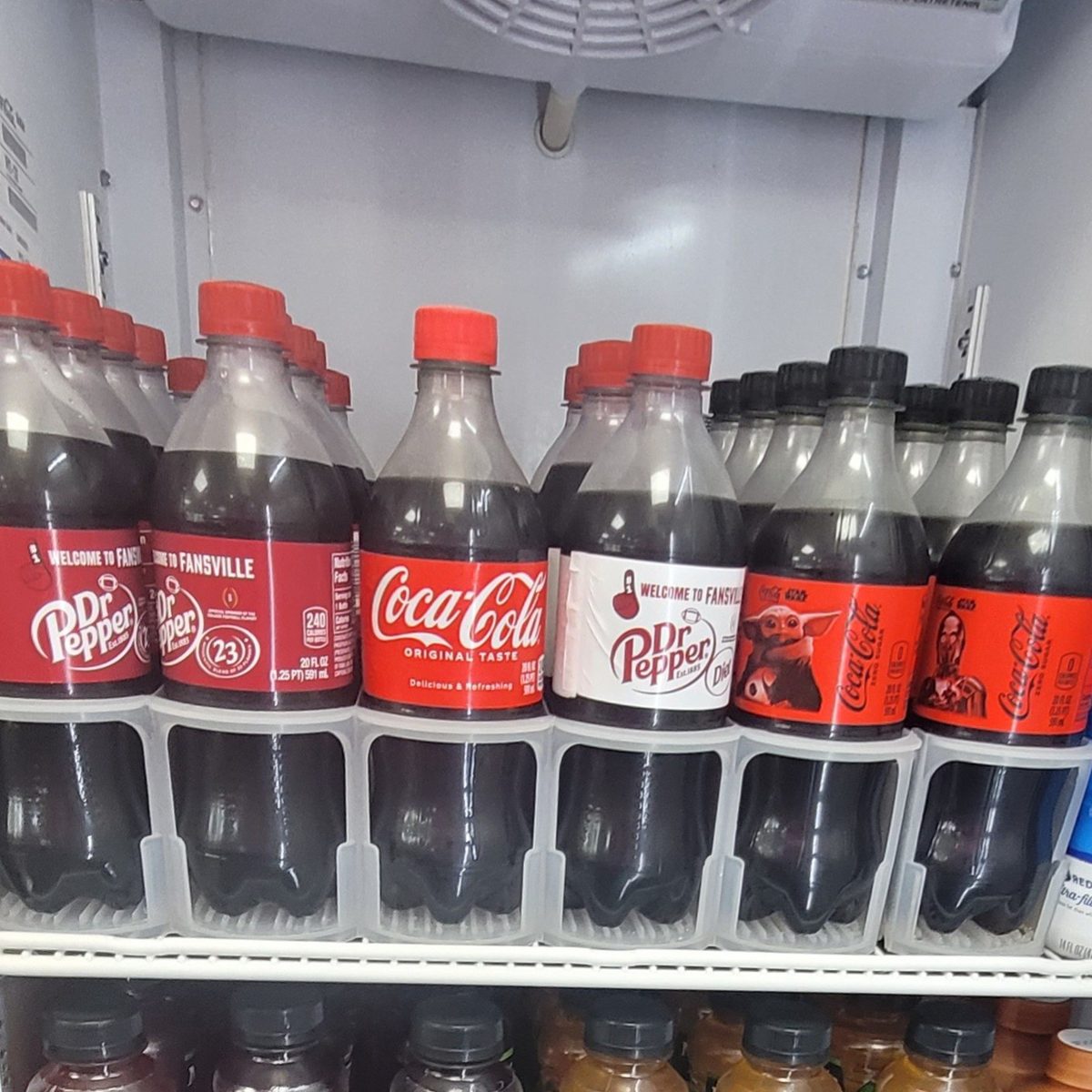 Bottle Drinks